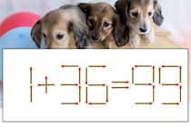 【マッチ棒パズル】正しい式にしよう！「1+36=99」【毎日脳トレ】