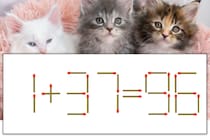 【マッチ棒パズル】正しい式にしよう！「1+37=96」【毎日脳トレ】