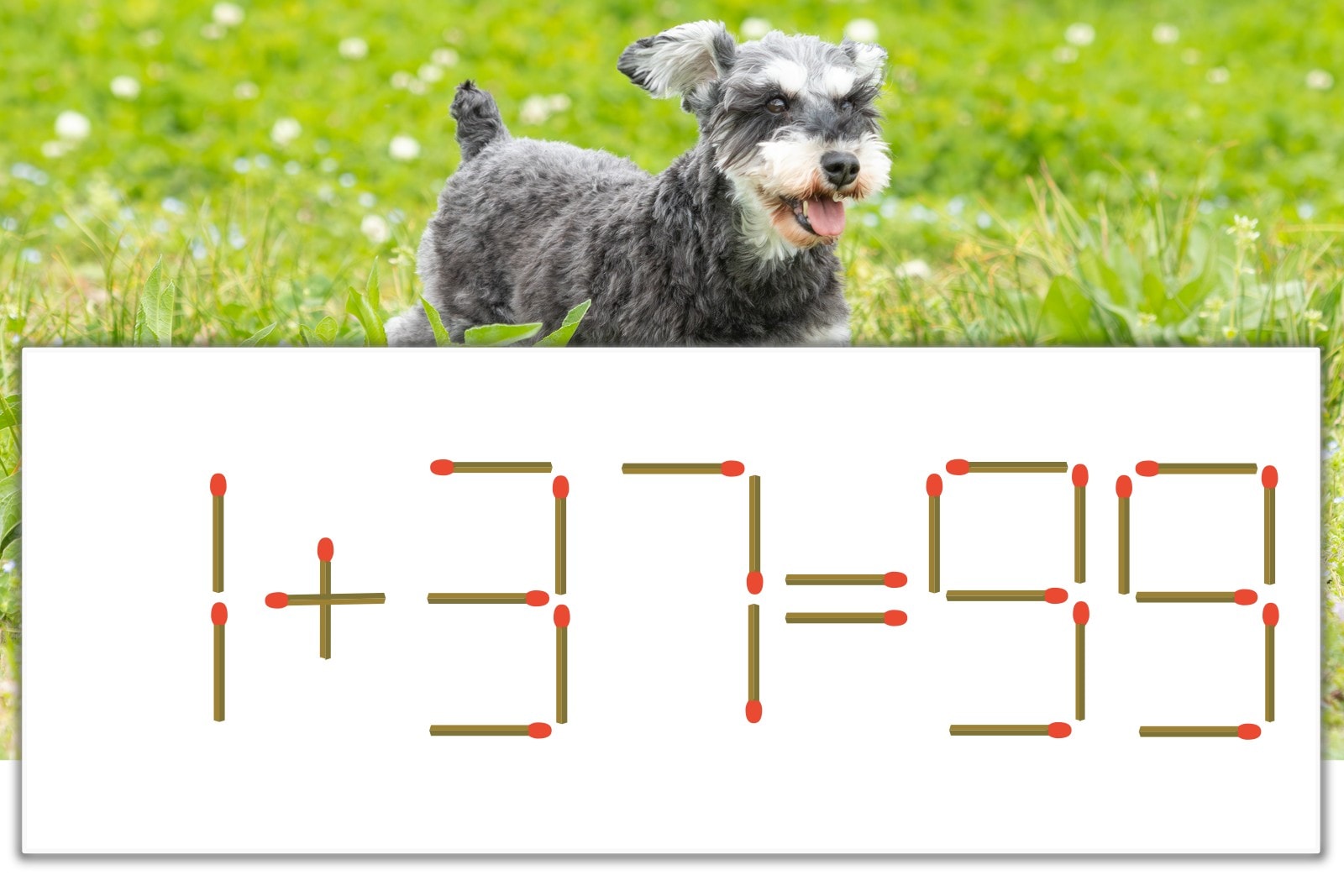 マッチ棒パズル】正しい式にしよう！「1+37=99」【毎日脳トレ 