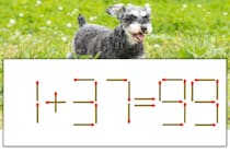 【マッチ棒パズル】正しい式にしよう！「1+37=99」【毎日脳トレ】