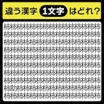 「柿の中に隠れてるのは？」漢字間違い探しで脳トレしよう！【毎日脳トレ】【クイズ】
