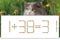 【マッチ棒パズル】正しい式にしよう！「1+38=31」【毎日脳トレ】
