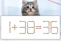 【マッチ棒パズル】正しい式にしよう！「1+38=36」【毎日脳トレ】