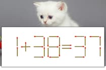 【マッチ棒パズル】正しい式にしよう！「1+38=37」【毎日脳トレ】