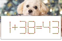 【マッチ棒パズル】正しい式にしよう！「1+38=43」【毎日脳トレ】
