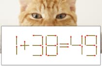 【マッチ棒パズル】正しい式にしよう！「1+38=49」【毎日脳トレ】