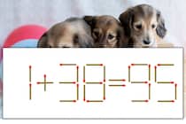 【マッチ棒パズル】正しい式にしよう！「1+38=95」【毎日脳トレ】