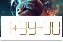 【マッチ棒パズル】正しい式にしよう！「1+39=30」【毎日脳トレ】