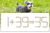 【マッチ棒パズル】正しい式にしよう！「1+39=35」【毎日脳トレ】