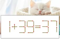 【マッチ棒パズル】正しい式にしよう！「1+39=37」【毎日脳トレ】