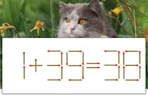 【マッチ棒パズル】正しい式にしよう！「1+39=38」【毎日脳トレ】