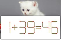 【マッチ棒パズル】正しい式にしよう！「1+39=46」【毎日脳トレ】