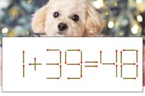 【マッチ棒パズル】正しい式にしよう！「1+39=48」【毎日脳トレ】