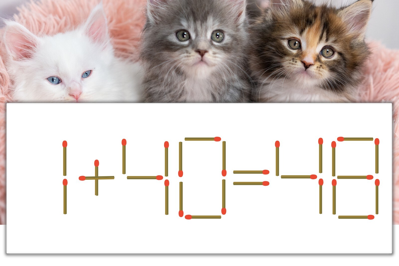 マッチ棒パズル】正しい式にしよう！「1+40=48」【毎日脳トレ 