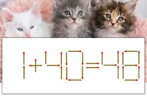 【マッチ棒パズル】正しい式にしよう！「1+40=48」【毎日脳トレ】