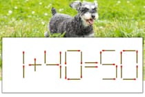 【マッチ棒パズル】正しい式にしよう！「1+40=50」【毎日脳トレ】