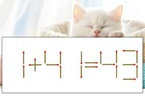 【マッチ棒パズル】正しい式にしよう！「1+41=43」【毎日脳トレ】