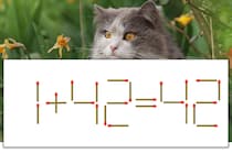【マッチ棒パズル】正しい式にしよう！「1+42=42」【毎日脳トレ】