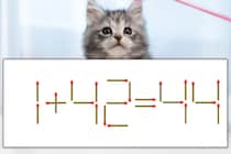 【マッチ棒パズル】正しい式にしよう！「1+42=44」【毎日脳トレ】