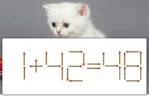 【マッチ棒パズル】正しい式にしよう！「1+42=48」【毎日脳トレ】