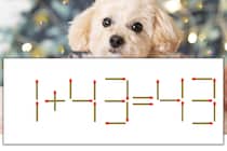 【マッチ棒パズル】正しい式にしよう！「1+43=43」【毎日脳トレ】
