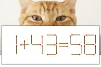 【マッチ棒パズル】正しい式にしよう！「1+43=58」【毎日脳トレ】