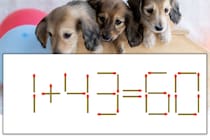 【マッチ棒パズル】正しい式にしよう！「1+43=60」【毎日脳トレ】