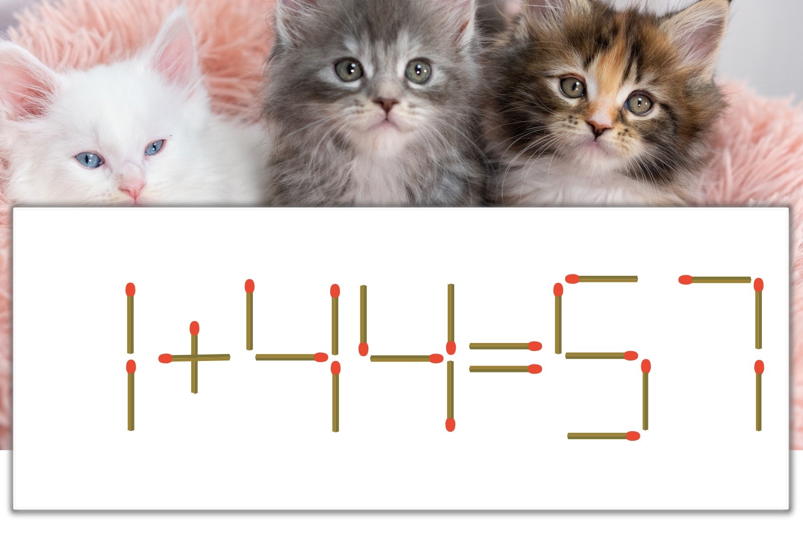 マッチ棒パズル】正しい式にしよう！「1+44=57」【毎日脳トレ 