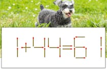 【マッチ棒パズル】正しい式にしよう！「1+44=61」【毎日脳トレ】