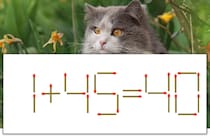 【マッチ棒パズル】正しい式にしよう！「1+45=40」【毎日脳トレ】