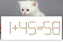 【マッチ棒パズル】正しい式にしよう！「1+45=58」【毎日脳トレ】