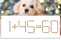 【マッチ棒パズル】正しい式にしよう！「1+45=60」【毎日脳トレ】