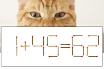【マッチ棒パズル】正しい式にしよう！「1+45=62」【毎日脳トレ】