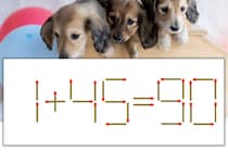【マッチ棒パズル】正しい式にしよう！「1+45=90」【毎日脳トレ】