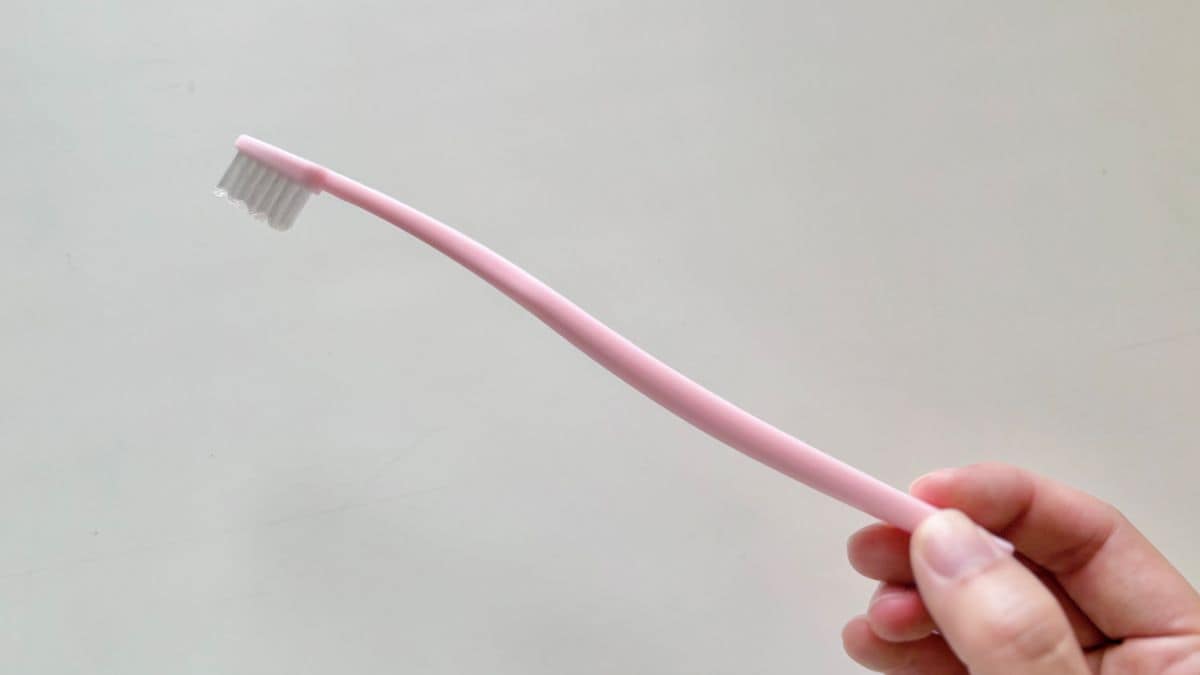 100均の使い捨て歯ブラシ3選|歯磨き粉付きはキャンプや来客時にも便利【ダイソー・セリア・キャンドゥ】