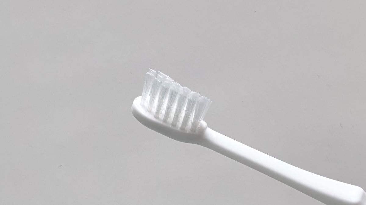 100均の使い捨て歯ブラシ3選|歯磨き粉付きはキャンプや来客時にも便利【ダイソー・セリア・キャンドゥ】