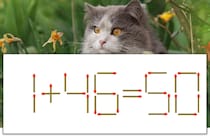 【マッチ棒パズル】正しい式にしよう！「1+46=50」【毎日脳トレ】