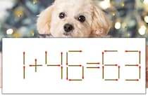 【マッチ棒パズル】正しい式にしよう！「1+46=63」【毎日脳トレ】