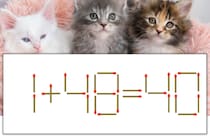 【マッチ棒パズル】正しい式にしよう！「1+48=40」【毎日脳トレ】