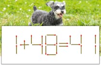 【マッチ棒パズル】正しい式にしよう！「1+48=41」【毎日脳トレ】