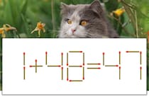 【マッチ棒パズル】正しい式にしよう！「1+48=47」【毎日脳トレ】