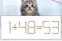 【マッチ棒パズル】正しい式にしよう！「1+48=53」【毎日脳トレ】