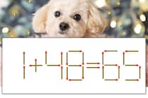 【マッチ棒パズル】正しい式にしよう！「1+48=65」【毎日脳トレ】
