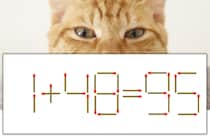 【マッチ棒パズル】正しい式にしよう！「1+48=95」【毎日脳トレ】