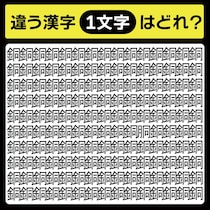 「銅の中に隠れてるのは？」漢字間違い探しで脳トレしよう！【毎日脳トレ】【クイズ】