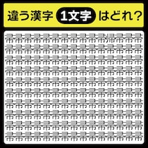 「帚の中に隠れてるのは？」漢字間違い探しで脳トレしよう！【毎日脳トレ】【クイズ】