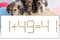 【マッチ棒パズル】正しい式にしよう！「1+49=41」【毎日脳トレ】