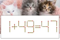 【マッチ棒パズル】正しい式にしよう！「1+49=47」【毎日脳トレ】