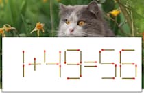 【マッチ棒パズル】正しい式にしよう！「1+49=56」【毎日脳トレ】
