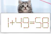 【マッチ棒パズル】正しい式にしよう！「1+49=58」【毎日脳トレ】